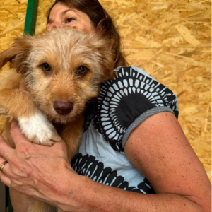 Adoption Simba
