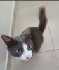Mimi