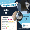Milou