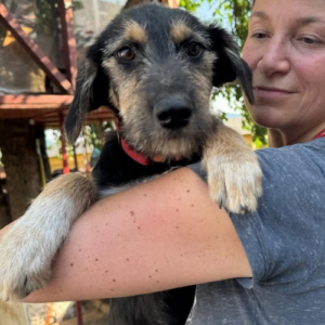 Adopter Zara