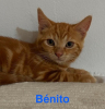 Benito  a réserver