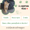 Pêche