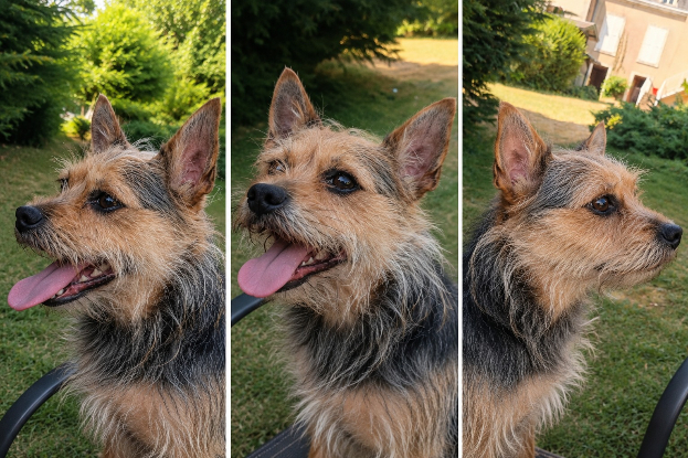 Adopter Ola