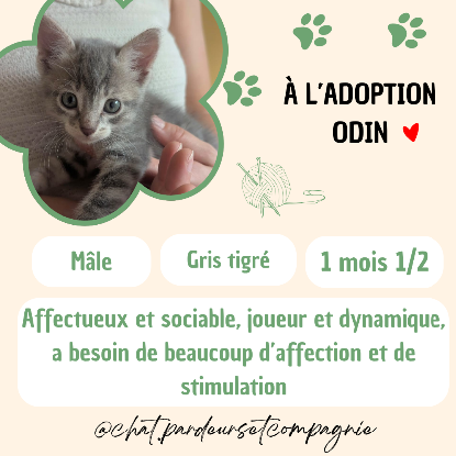 Adopter Odin
