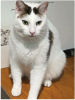 Olaf