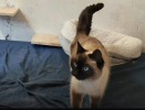 Thelma