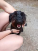 Bouba