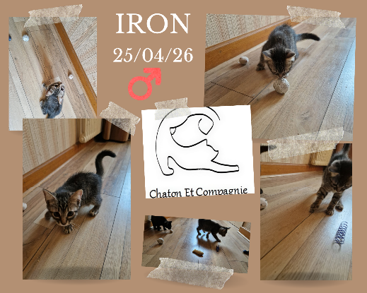 Adopter Iron