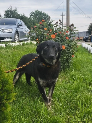 Adopter Athéna