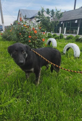 Adopter Athéna