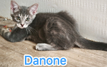 Danone