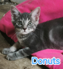 Donuts
