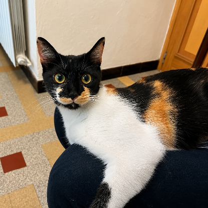 Adopter Lucie