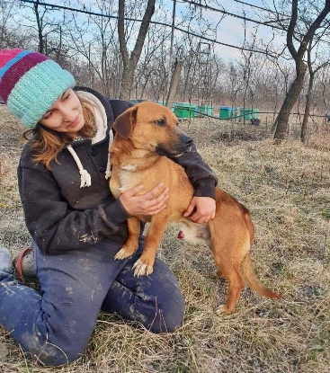 Adoption Anton