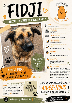 Adopter Fidji