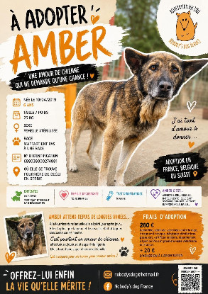Adoption Amber