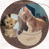 Will
