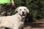 Blanca