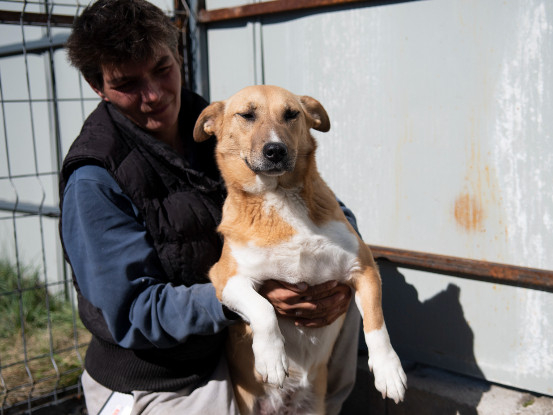 Adopter Julia