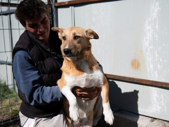 Adopter Julia