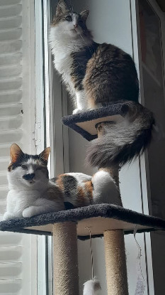 Image Juliette et Akna