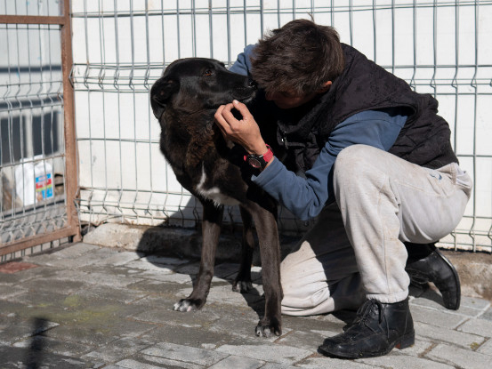 Adopter Moorea