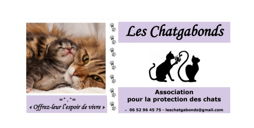 Recherche de familles d’accueil Alentours Nîmes.