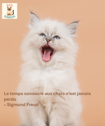 Recherche F.A. / F.A.Q.