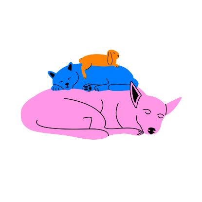 Recherche FA chats, chiens & lapins