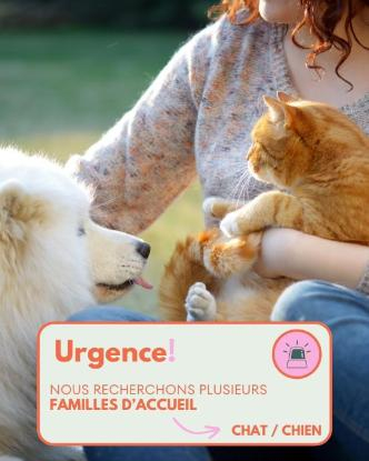 Recherche FA en Métropole