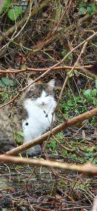 Recherche FA expérimentée