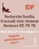RECHERCHE FA POUR CHAT/CHATON 92-75-78