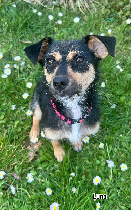 Image Recherche famille d'accueil 95 ou proche