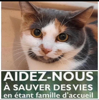 Recherche famille d’accueil IDF