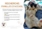 Recherche Famille d'Accueil