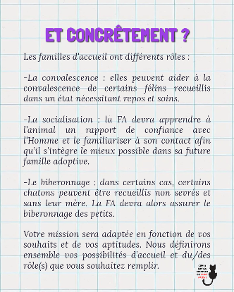 Image Recherche famille d'accueil