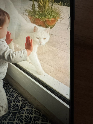 Image recherche Famille d'accueil