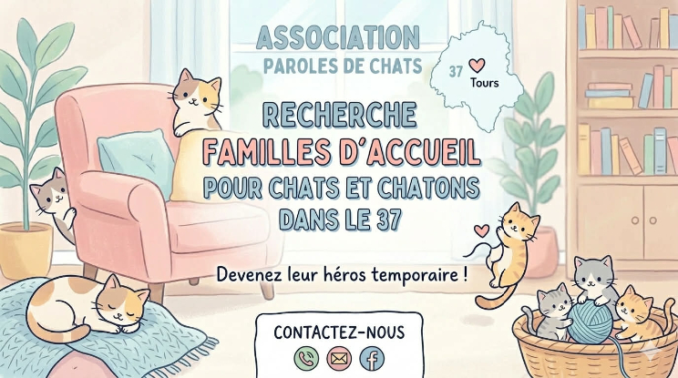 Recherche familles d'accueil 37