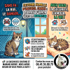 Recherche familles d'accueil chats
