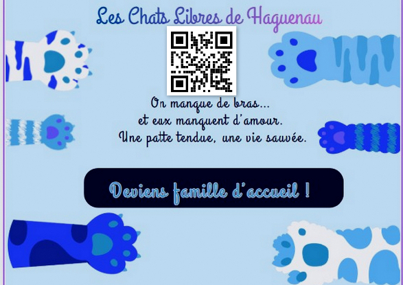 Urgent Famille d'accueil