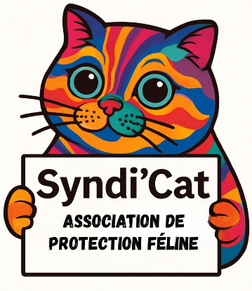 URGENT – Recherche familles d’accueil !