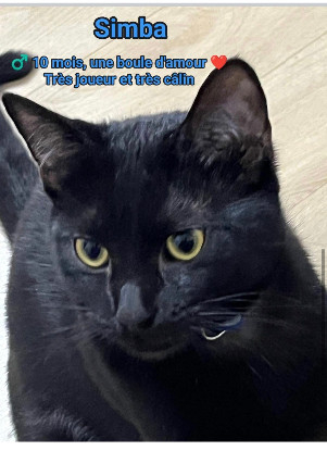 Urgent / Zoé et ses petits