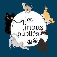 Logo association Les Minous oubliés