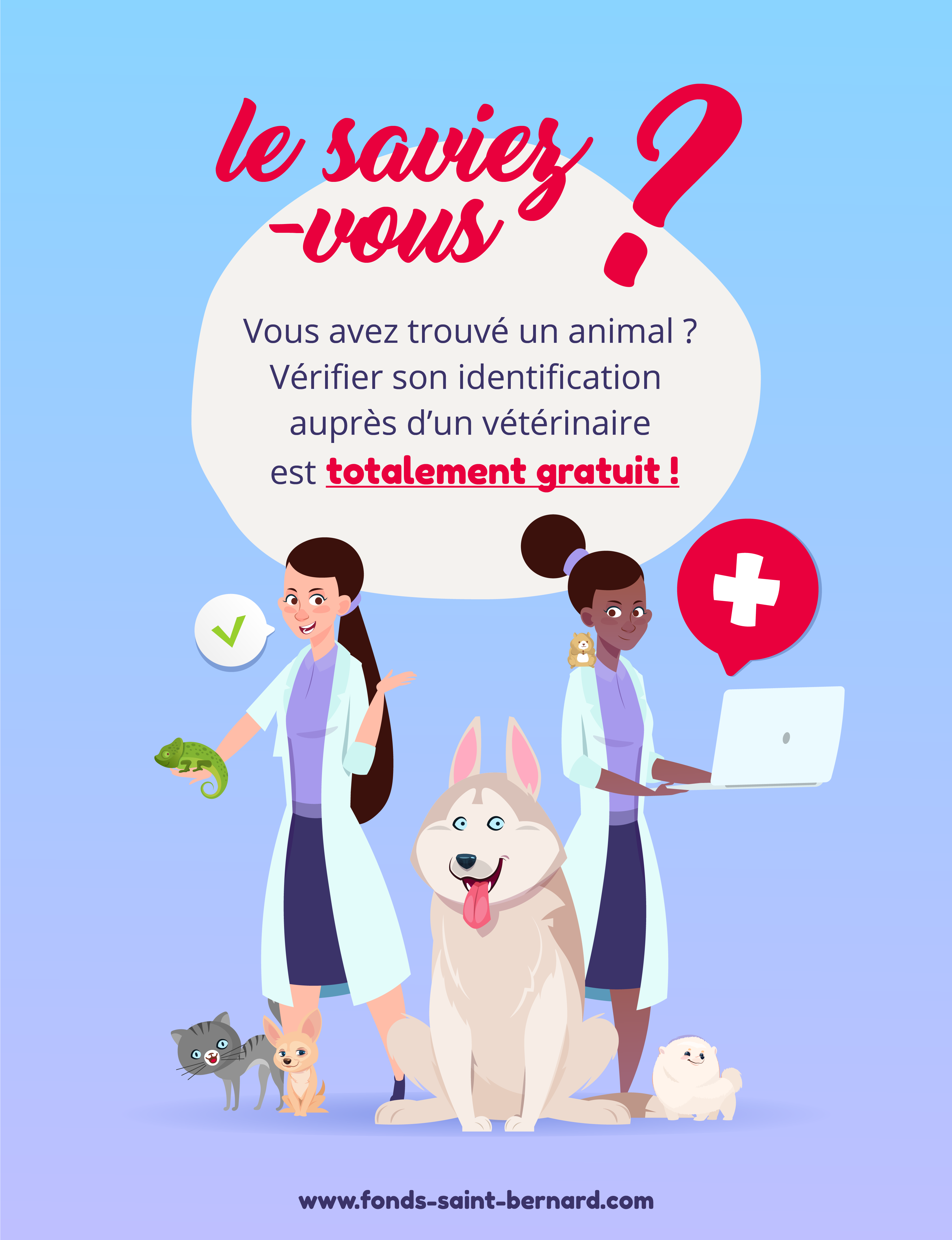 Animal Trouve Domestique Ou Sauvage Comment Reagir Le Fonds Saint Bernard