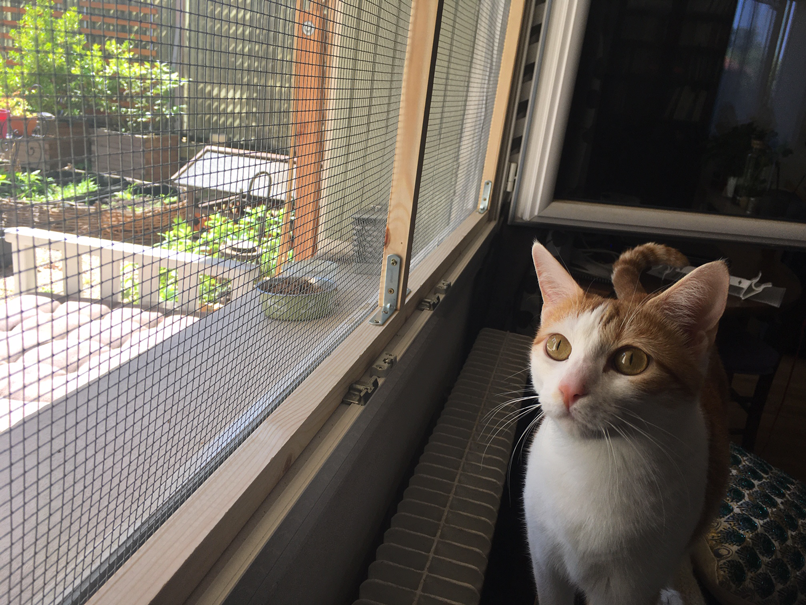 DIY : Cadre de protection de fenêtre pour chat amovible - Le Fonds