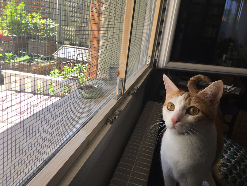 Comment installer un filet sur le balcon pour le chat ?