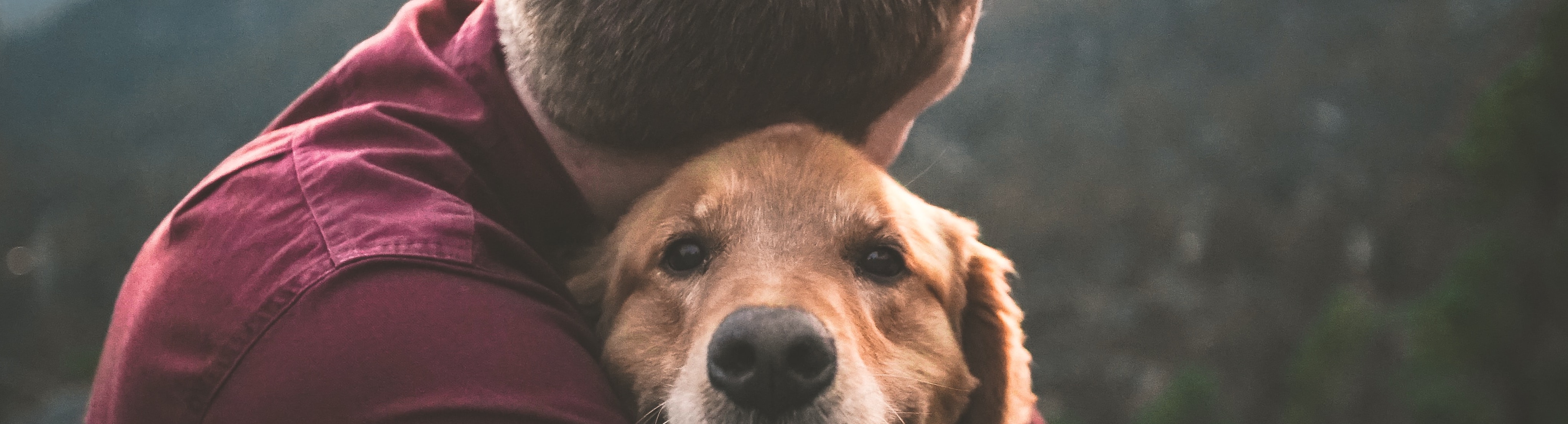 décès deuil d'un animal chat chien