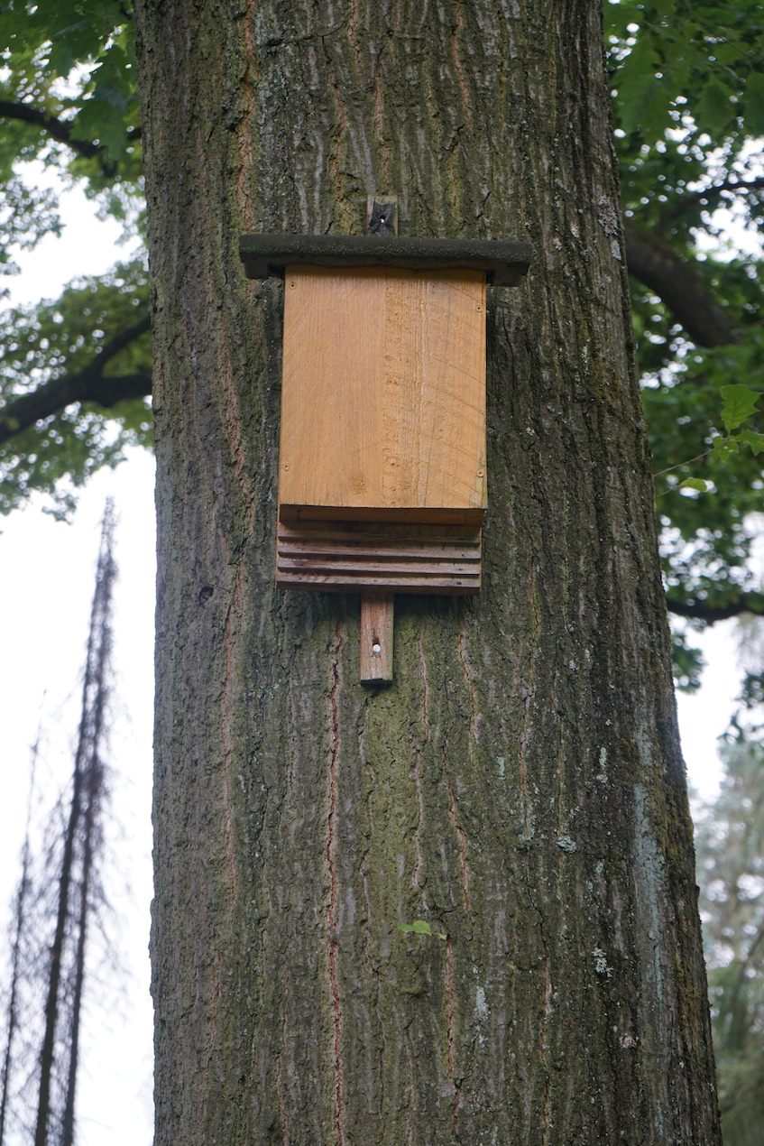 Abri Chauves-souris Extérieur Imperméable Niche Chauve-souris Bois Double Chambre - Abri Extérieur Niche à Chauves-souris