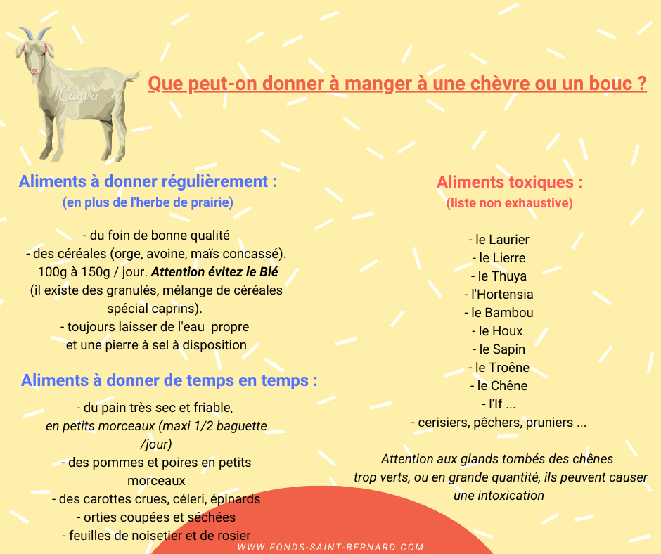 Les aliments pour les chèvres - Le Fonds Saint-Bernard