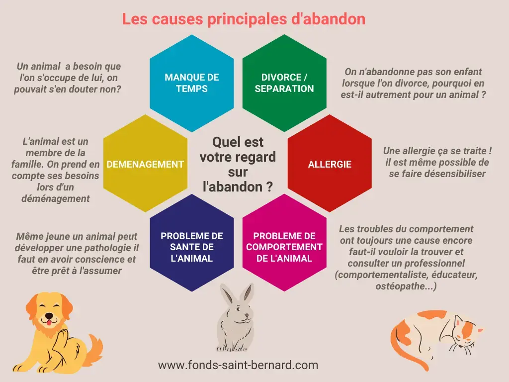Avant d’adopter un animal : connaissez-vous les principales causes d’abandon ?